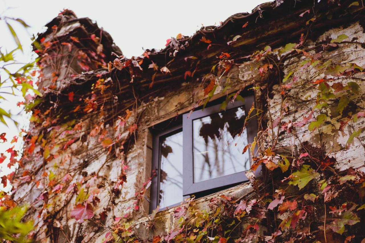 Wuyuan Qiye Yanxiang Guesthouse Екстериор снимка